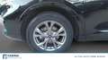 Ford Kuga 2.5 phev ST-Line 2wd 225cv cvt Schwarz - thumbnail 14