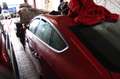 Audi A5 Sportback 2.0 TDI Aut. S-Line Selection Navi Rojo - thumbnail 8