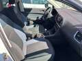 SEAT Ateca 1.0 TSI 115ch Start&Stop Style Business 148g Blanc - thumbnail 19