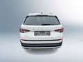 Skoda Kodiaq 4x4 SCOUT TDI Alb - thumbnail 4