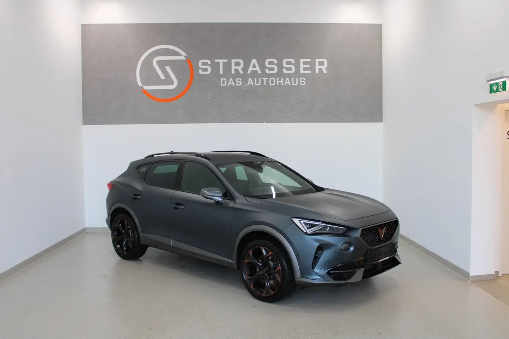 CUPRA Formentor VZ 2.0 TSI 310 PS DSG 4Drive Grau - 1