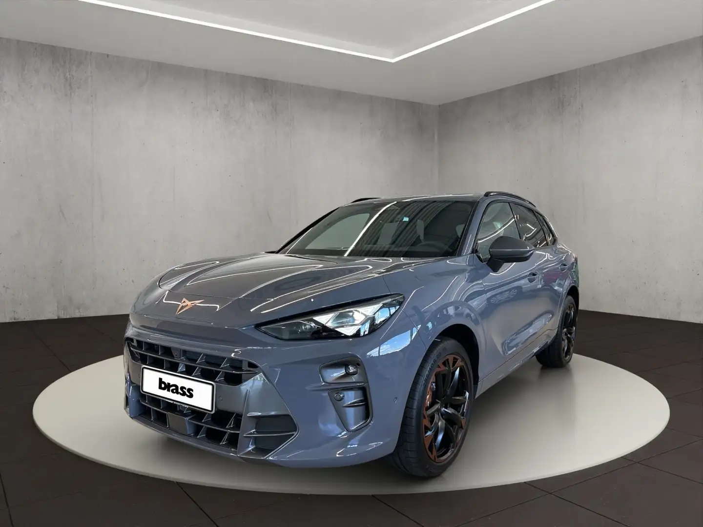 CUPRA Terramar VZ Grau - 1