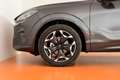 CUPRA Terramar 1.5 e-TSI 150 PS DSG Grau - thumbnail 18
