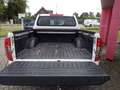 Nissan Navara DC 160PS 6MT Visia Double Cab 4x4 AHK Weiß - thumbnail 9