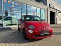 Fiat 500 Hybrid*PDC*BT* Červená - thumbnail 3