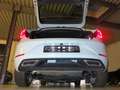 SEAT Leon 2.0 TDI SCR DSG7 FR Navi DAB ACC LM17 Weiß - thumbnail 16