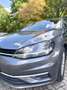 Volkswagen Golf Variant Golf Variant 1.6 TDI BlueMotion  AHK 1,6 TDI Grau - thumbnail 19