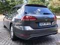 Volkswagen Golf Variant Golf Variant 1.6 TDI BlueMotion  AHK 1,6 TDI Grau - thumbnail 3