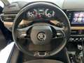 Skoda Kamiq Kamiq 1.5 tsi Ambition 150cv dsg Blau - thumbnail 10