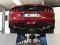 Ford Mustang Fastback 2.3 EcoBoost Aut. Rojo - thumbnail 3