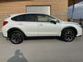 Subaru XV 2,0DL Comfort Weiß - thumbnail 3