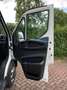 Iveco Daily 35C16 Achterdeuren (15 diverse modellen op voorraa Wit - thumbnail 14