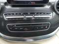 Mercedes-Benz V 250 d 4Mat MARCO POLO STDHZG/KÜCHE/360°/19"AMG Modrá - thumbnail 6