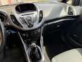 Ford B-Max 1.0 EcoBoost Ambiente, Stoelverwarming, Nieuwe APK - thumbnail 11
