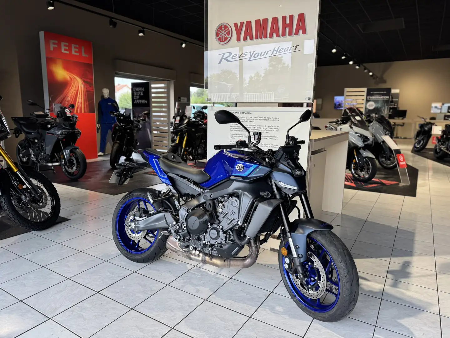 Yamaha MT-09 Blau - 2