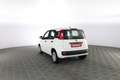Fiat New Panda 1.0 FireFly S&S Hybrid Pop Bianco - thumbnail 5