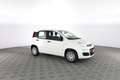 Fiat New Panda 1.0 FireFly S&S Hybrid Pop Bianco - thumbnail 2