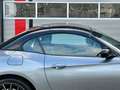 BMW Z4 Roadster (e89) Sdrive30i / Aut / Sportseats / Blac Gris - thumbnail 13