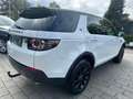 Land Rover Discovery Sport SE AWD Weiß - thumbnail 8