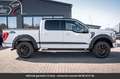 Ford Ethanol SuperCrew 4x4 Tout compris hors homologati Білий - thumbnail 12
