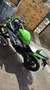 Kawasaki Ninja 300 anniversary edition - thumbnail 5