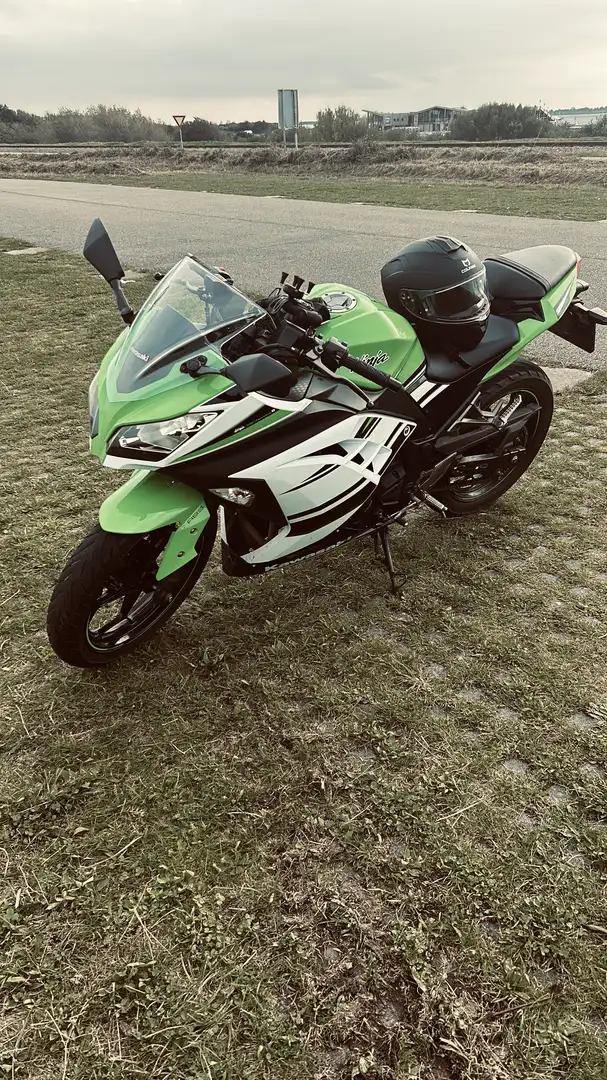 Kawasaki Ninja 300 anniversary edition - 1