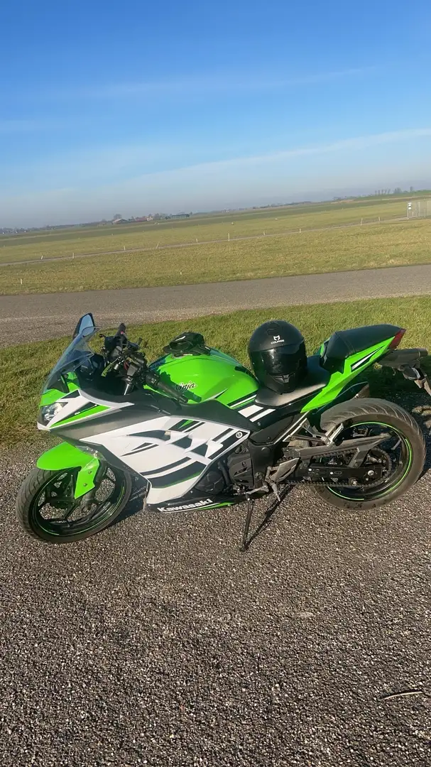 Kawasaki Ninja 300 anniversary edition - 2