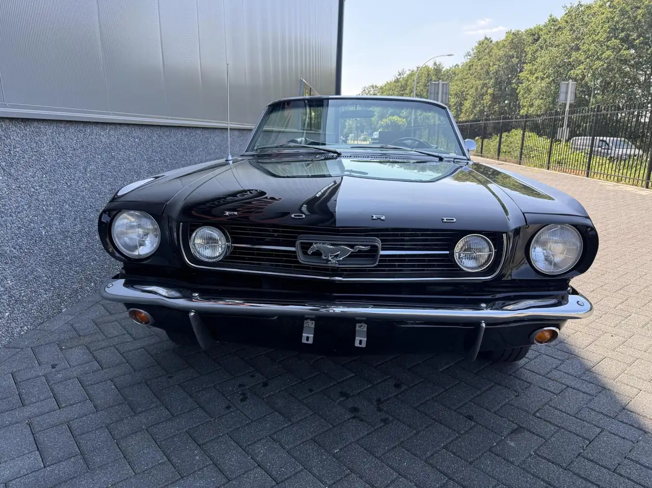 Ford Mustang Convertible, foto 10