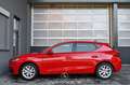 SEAT Leon 1.5 TSI Style Pickerl NEU Rood - thumbnail 6