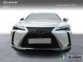 Lexus UX 300h + 2WD Biały - thumbnail 3