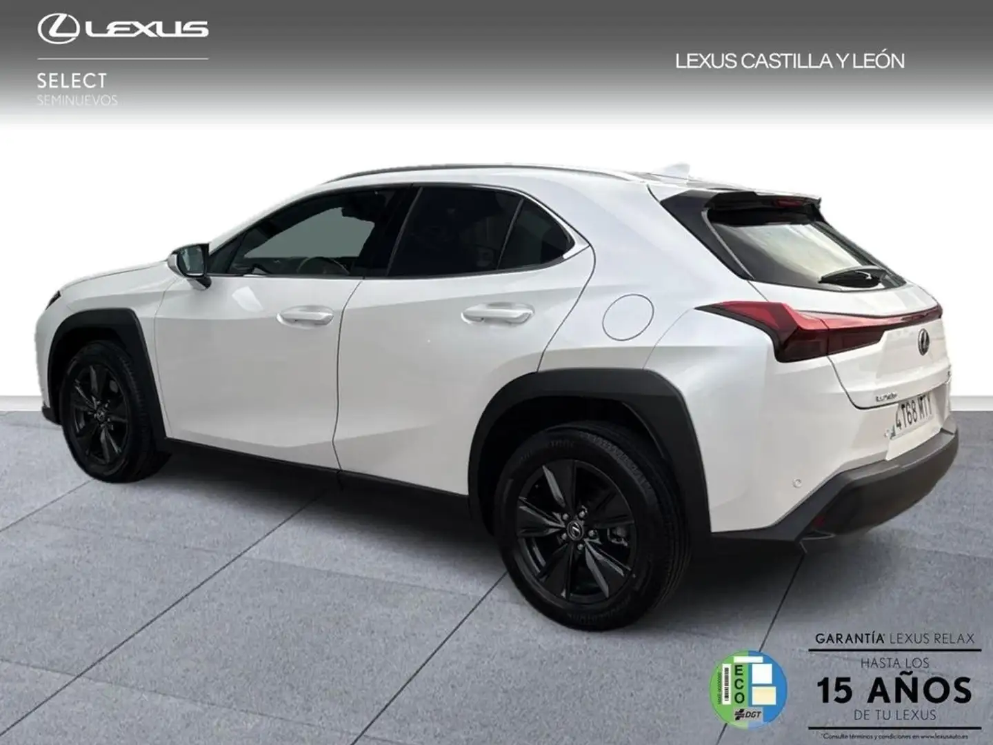 Lexus UX 300h + 2WD Biały - 2