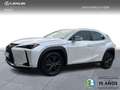 Lexus UX 300h + 2WD Biały - thumbnail 1