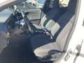 Ford Fiesta 1.5 EcoBlue 5 porte Titanium Bianco - thumbnail 7