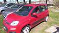 Fiat Panda 1.2 Lounge 69cv E6 Rot - thumbnail 2