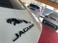 Jaguar F-Type F-TYPE SVR Umbau Werksgarantie Exklusiv Grey - thumbnail 10