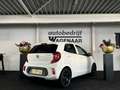 Kia Picanto 1.0 MPi Plusline CarPlay/Camera Blanc - thumbnail 7