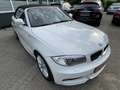 BMW 123 d Cabrio Sport-Paket M / M-Technic Weiss Leder Top Wit - thumbnail 18
