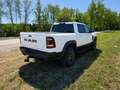 Dodge RAM TRX Weiß - thumbnail 4