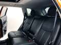 Nissan X-Trail 2.0 DCI N-CONNECTA 4WD XTRONIC Arancione - thumbnail 15