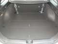 Kia Ceed SW / cee'd SW Ceed SW 1,0 T-GDI GPF ISG Silber Blanc - thumbnail 12