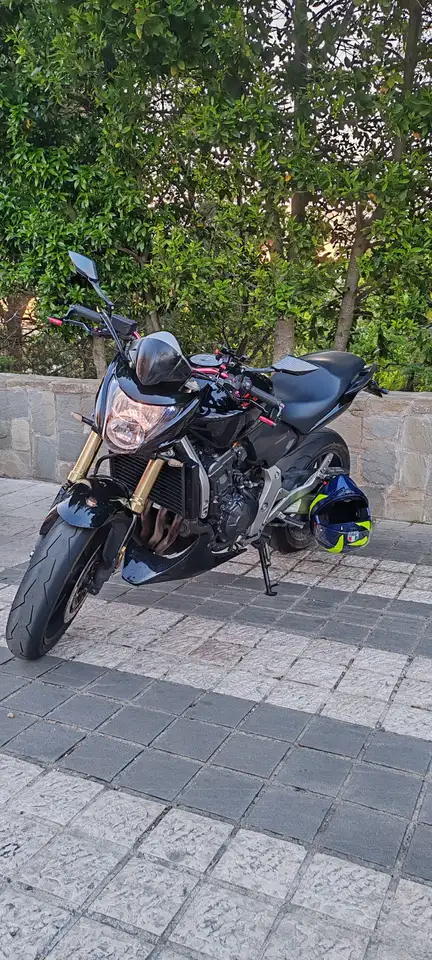 Honda Hornet