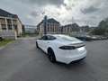 Tesla Model S Modèle S PLAID 1020ch Transmission intégrale Blanc - thumbnail 13
