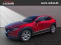 Mazda CX-30 Selection 2WD 2.0 SKYACTIV-G M Hybrid*SITZHEIZUNG* Rojo - thumbnail 1