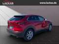Mazda CX-30 Selection 2WD 2.0 SKYACTIV-G M Hybrid*SITZHEIZUNG* Rojo - thumbnail 5
