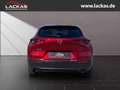Mazda CX-30 Selection 2WD 2.0 SKYACTIV-G M Hybrid*SITZHEIZUNG* Rojo - thumbnail 4