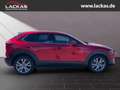 Mazda CX-30 Selection 2WD 2.0 SKYACTIV-G M Hybrid*SITZHEIZUNG* Rojo - thumbnail 6