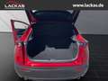 Mazda CX-30 Selection 2WD 2.0 SKYACTIV-G M Hybrid*SITZHEIZUNG* Rojo - thumbnail 19