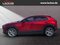 Mazda CX-30 Selection 2WD 2.0 SKYACTIV-G M Hybrid*SITZHEIZUNG* Rojo - thumbnail 2