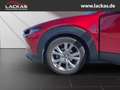 Mazda CX-30 Selection 2WD 2.0 SKYACTIV-G M Hybrid*SITZHEIZUNG* Rojo - thumbnail 21
