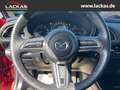 Mazda CX-30 Selection 2WD 2.0 SKYACTIV-G M Hybrid*SITZHEIZUNG* Rojo - thumbnail 10